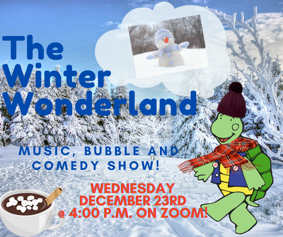 Turtle Dance Music promotional image featuring turtle walking through snowy woods.